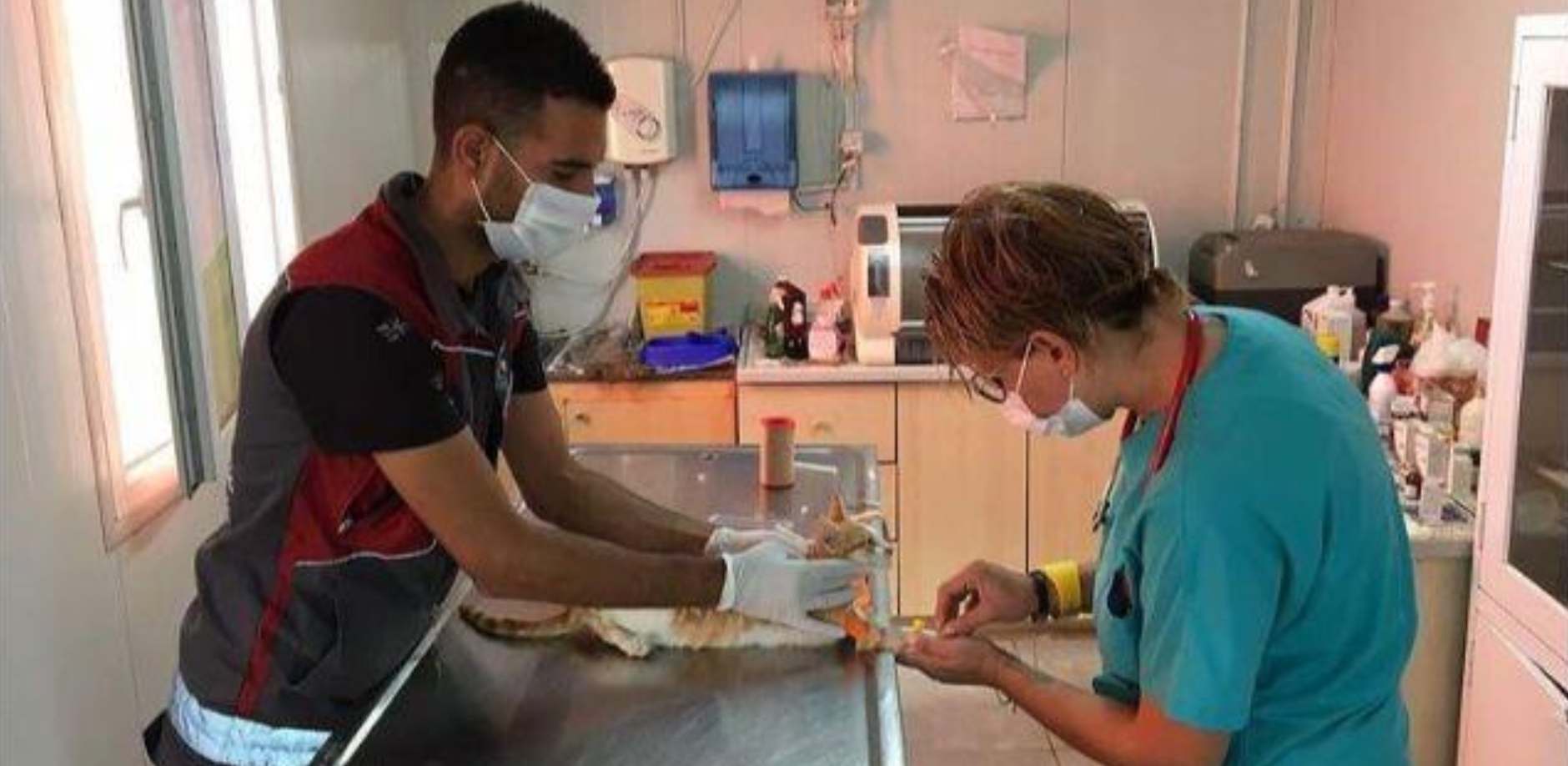 Tedavi Ve Klinik
