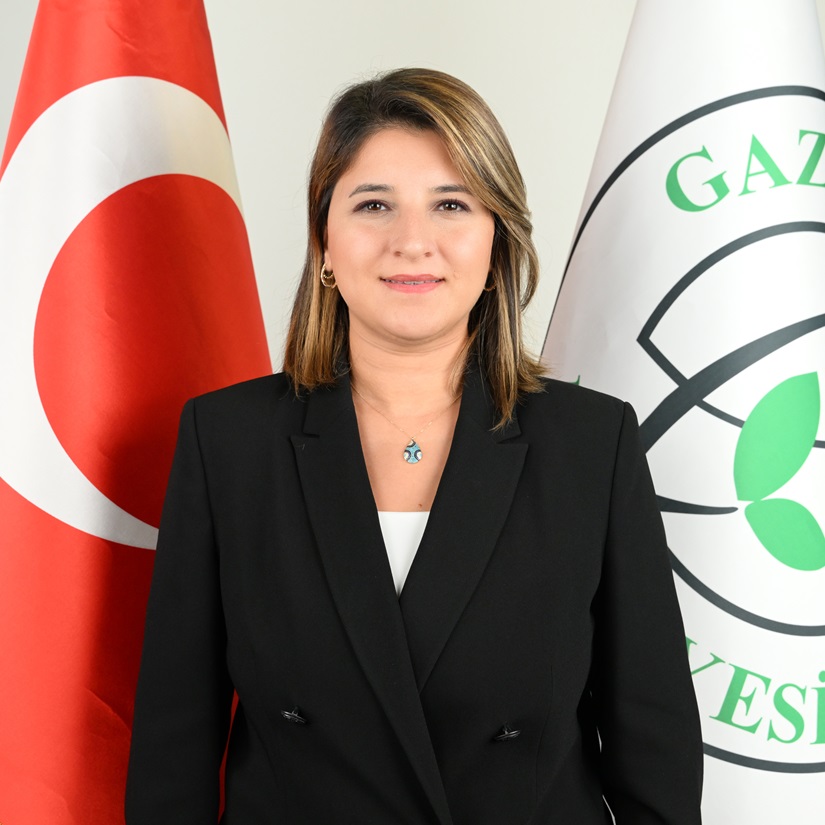 Teftiş Kurulu Müdürlüğü