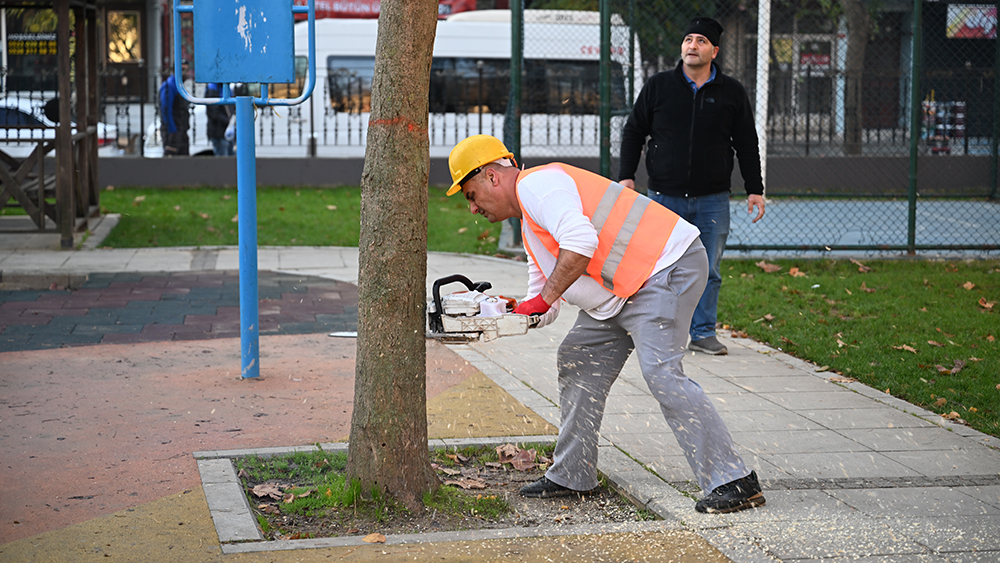 Gaziosmanpaşa’da Teke Böceğine Karşı Etkin Mücadele