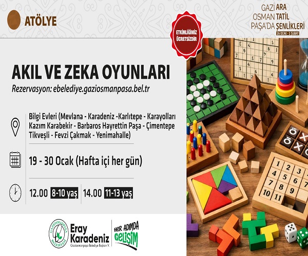 AKIL VE ZEKA OYUNLARI