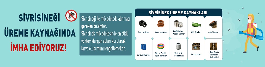 Plugin Başlık