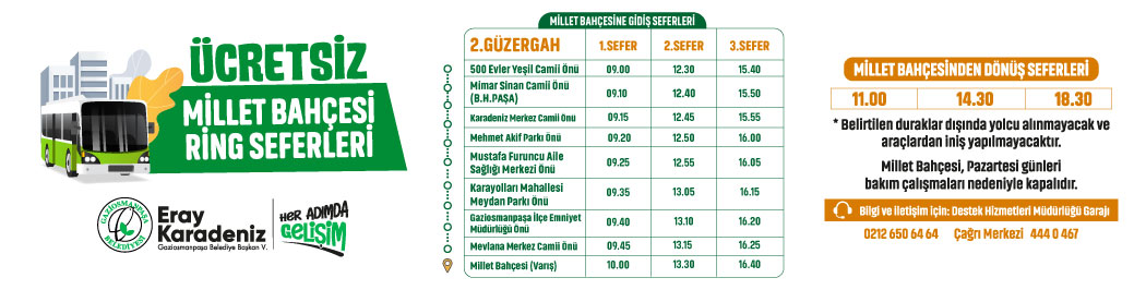 RİNG 2